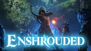 Enshrouded